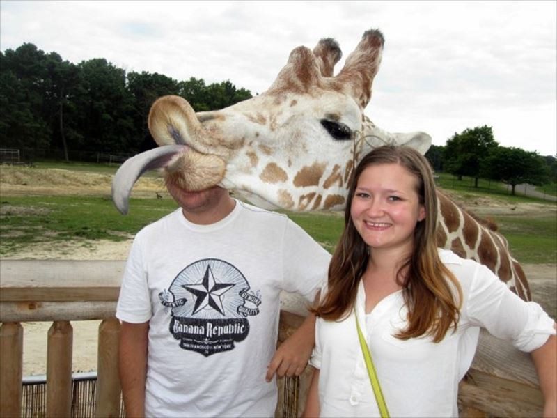 animal photobombs