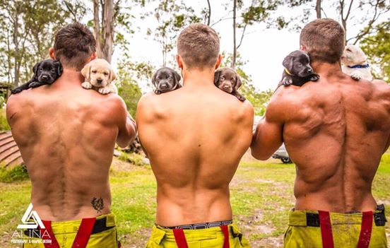 firemen and puppies