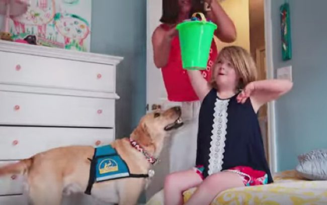 service dog commercial