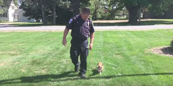 police officer adopts dog
